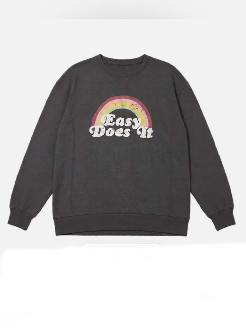 WILDFOX • “Easy Does It” Charcoal Graphic Sweatshirt - 'Easy Does It' - Picture 9 of 10